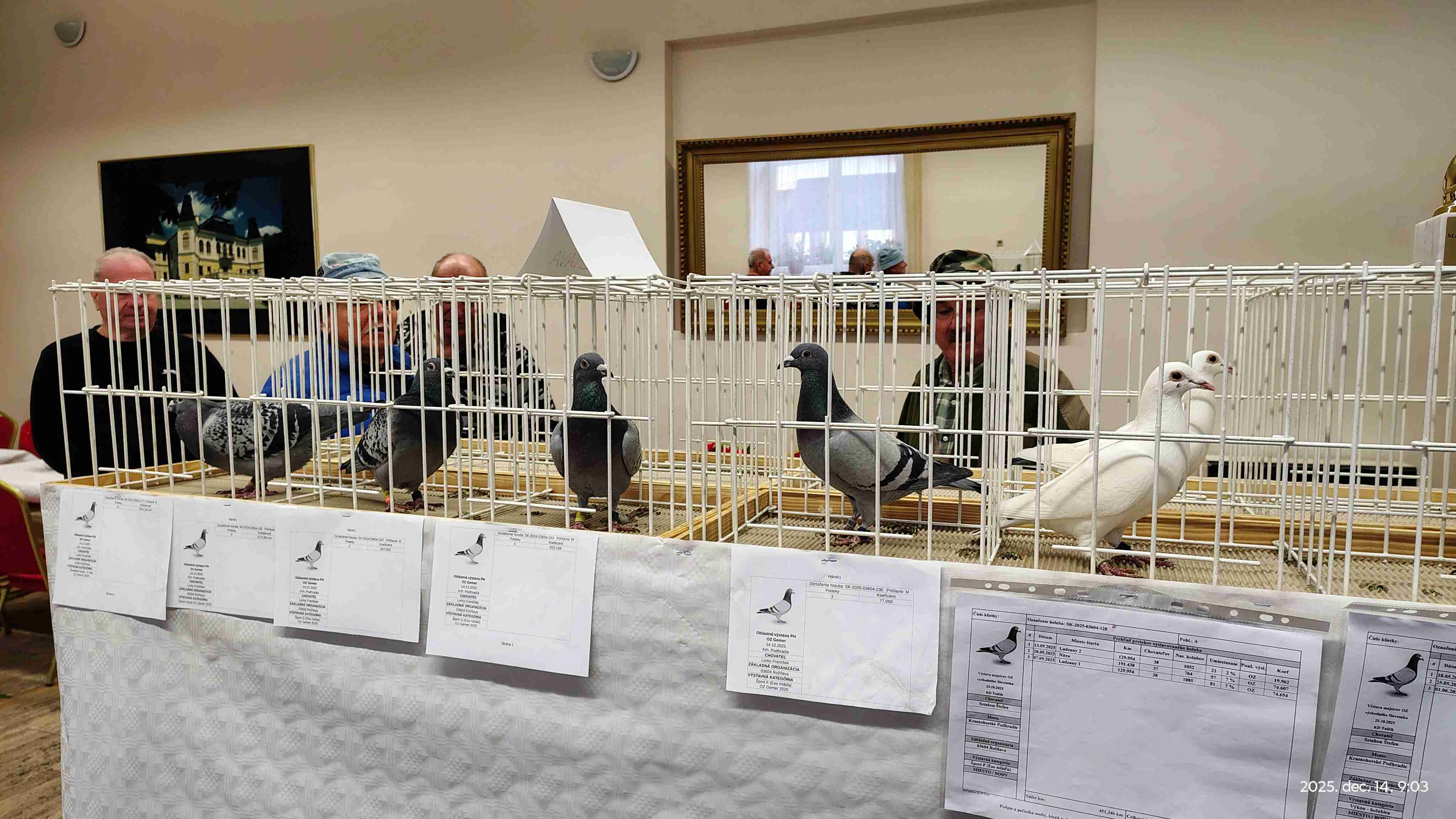 IMG_20251214_090342465_HDR