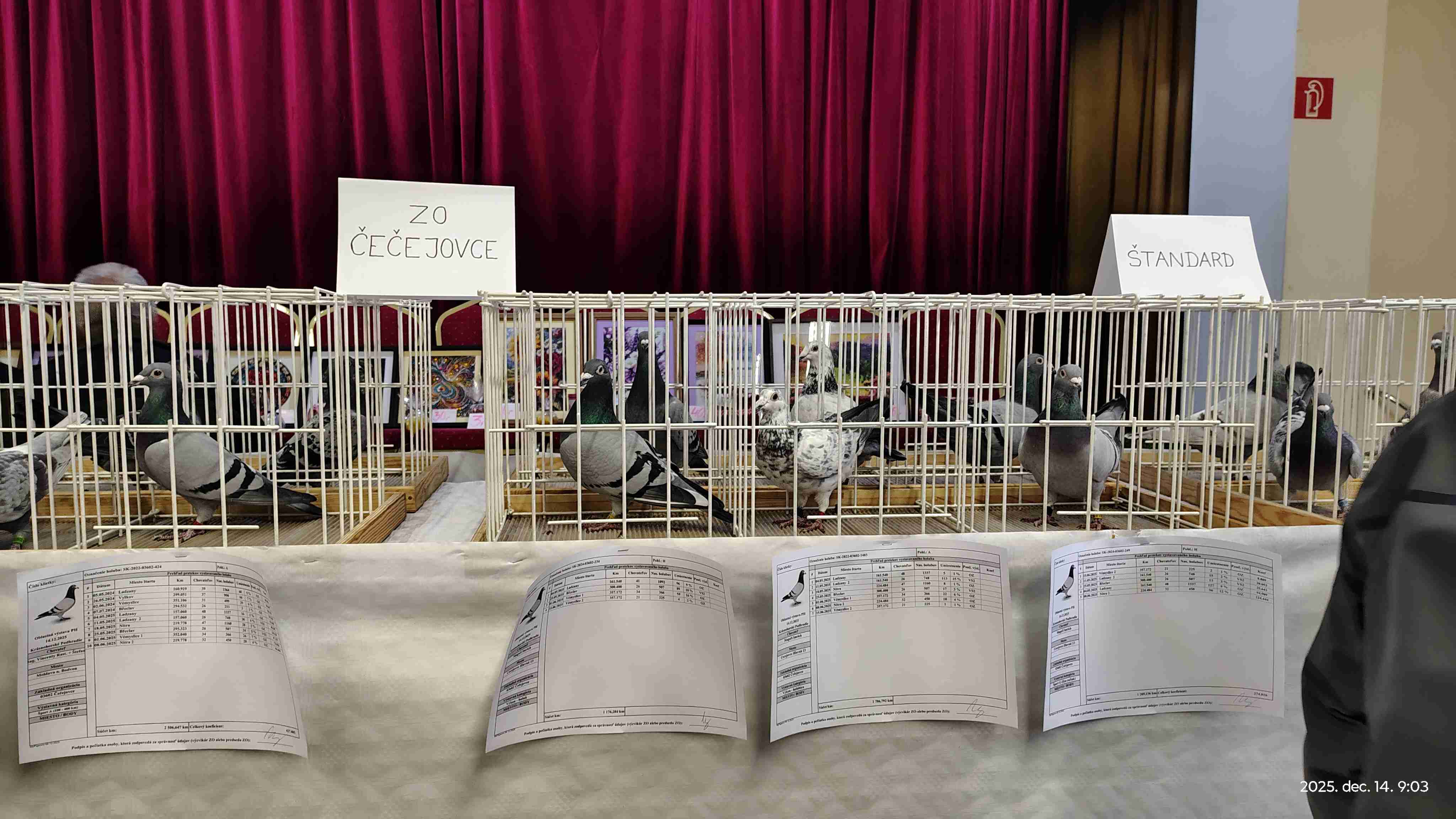 IMG_20251214_090359404_HDR