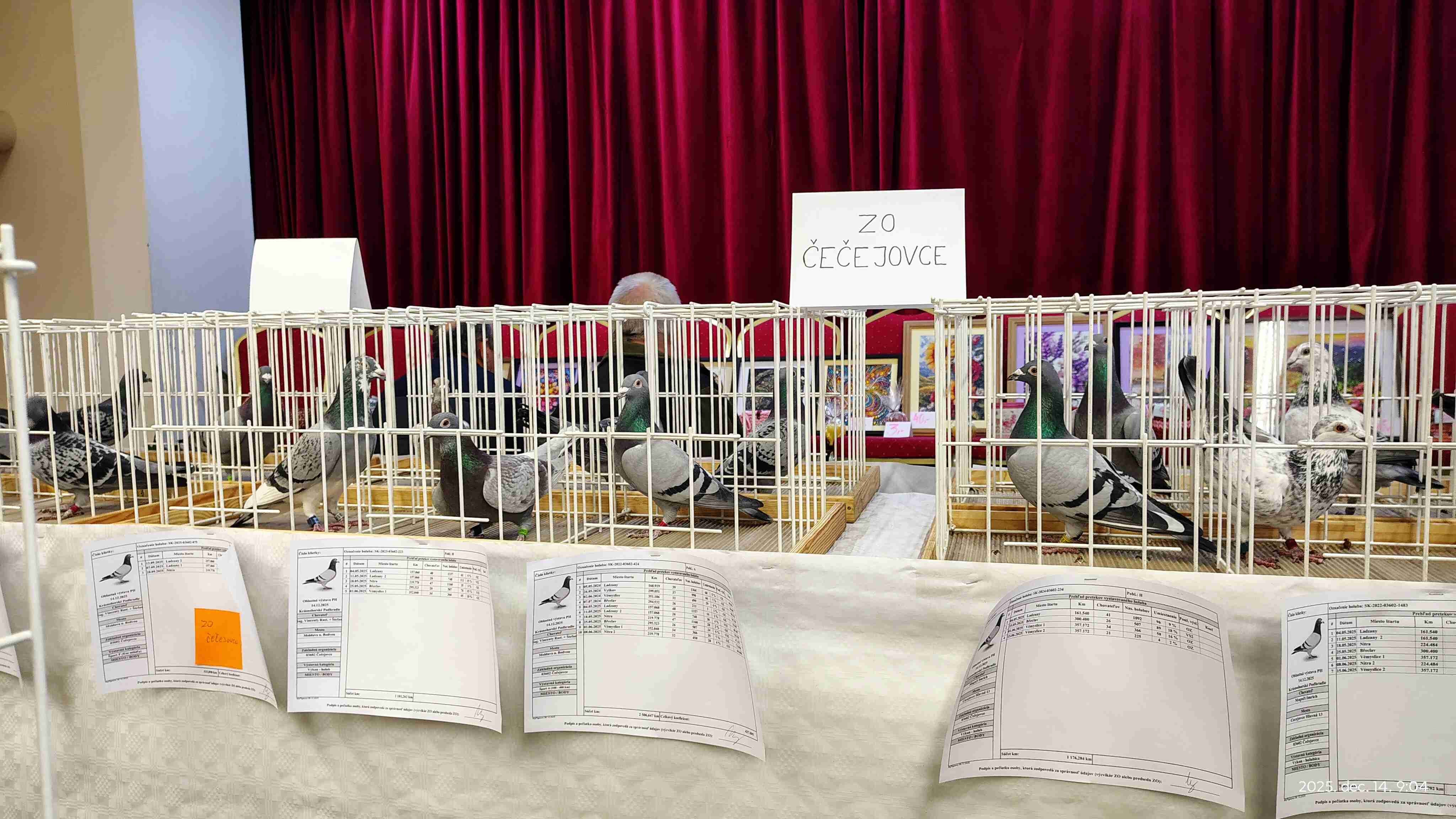 IMG_20251214_090402054_HDR