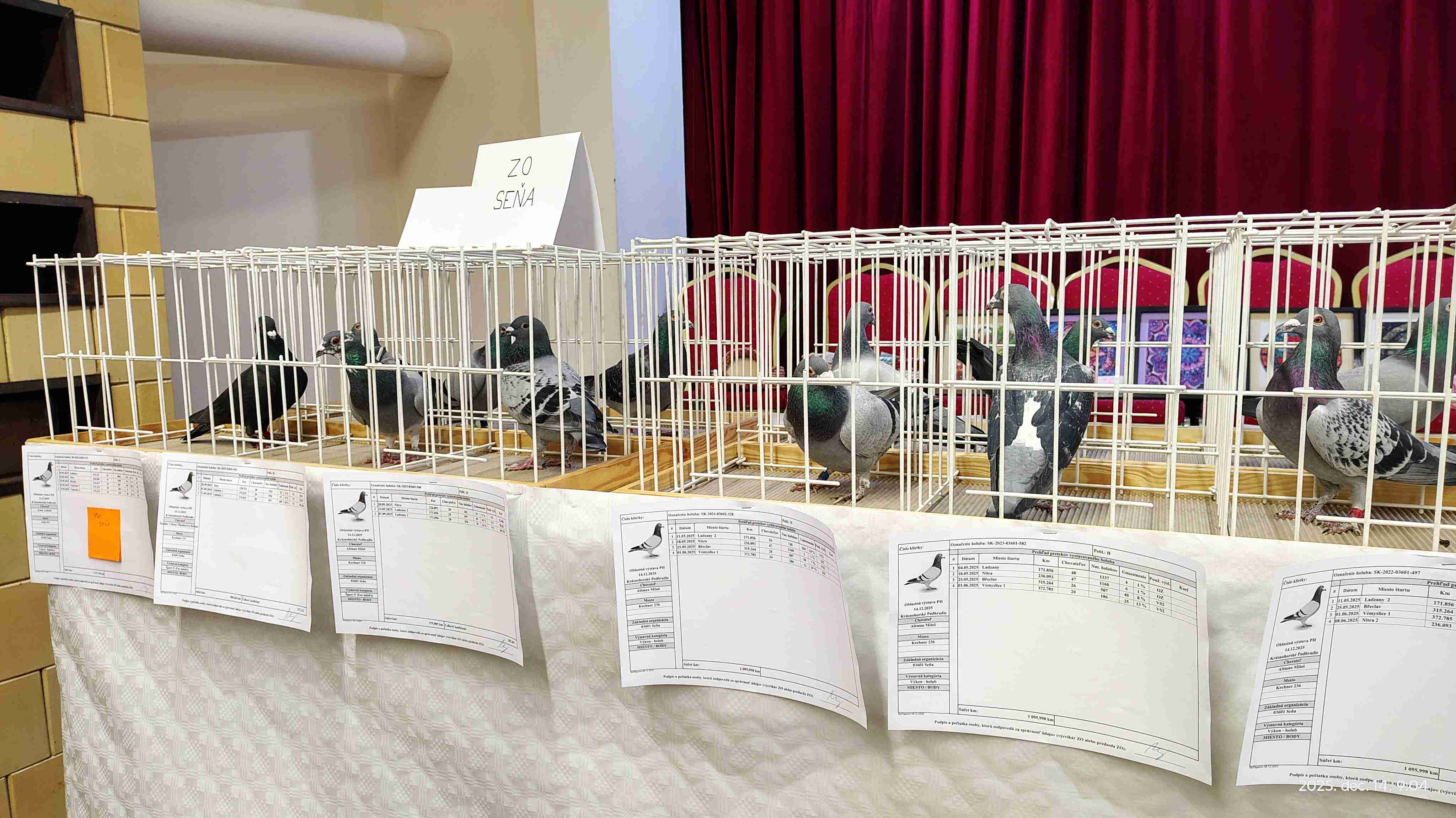 IMG_20251214_090415066_HDR