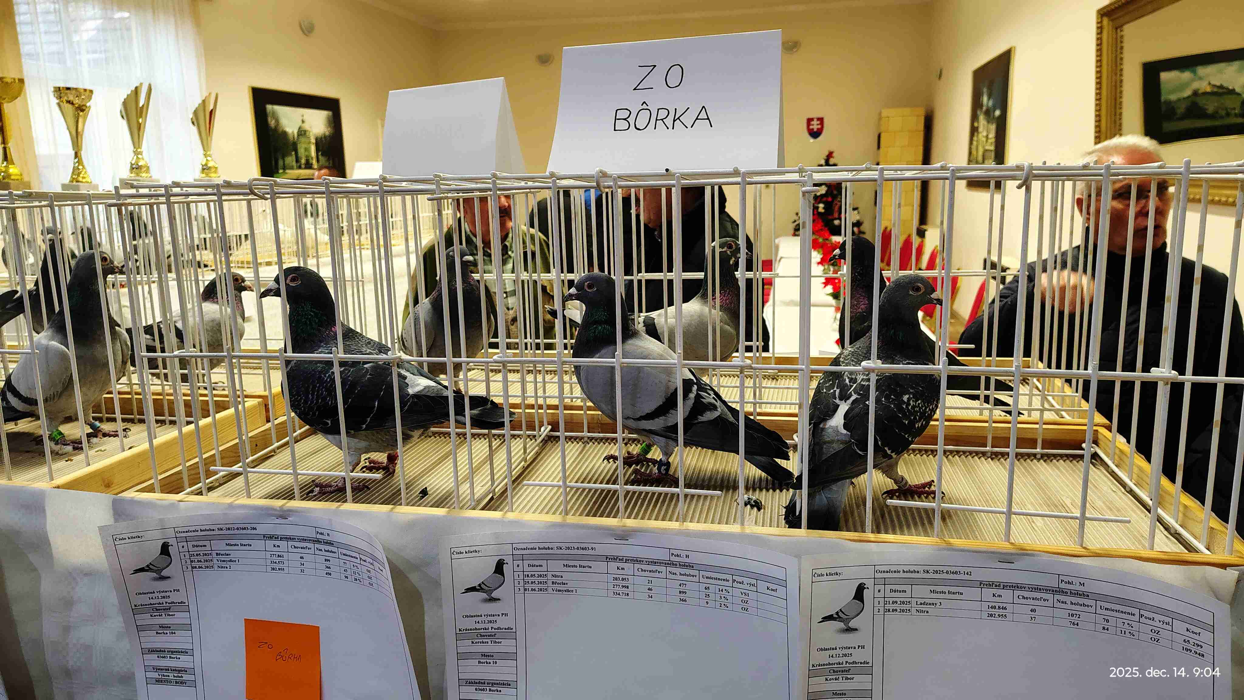 IMG_20251214_090429014_HDR