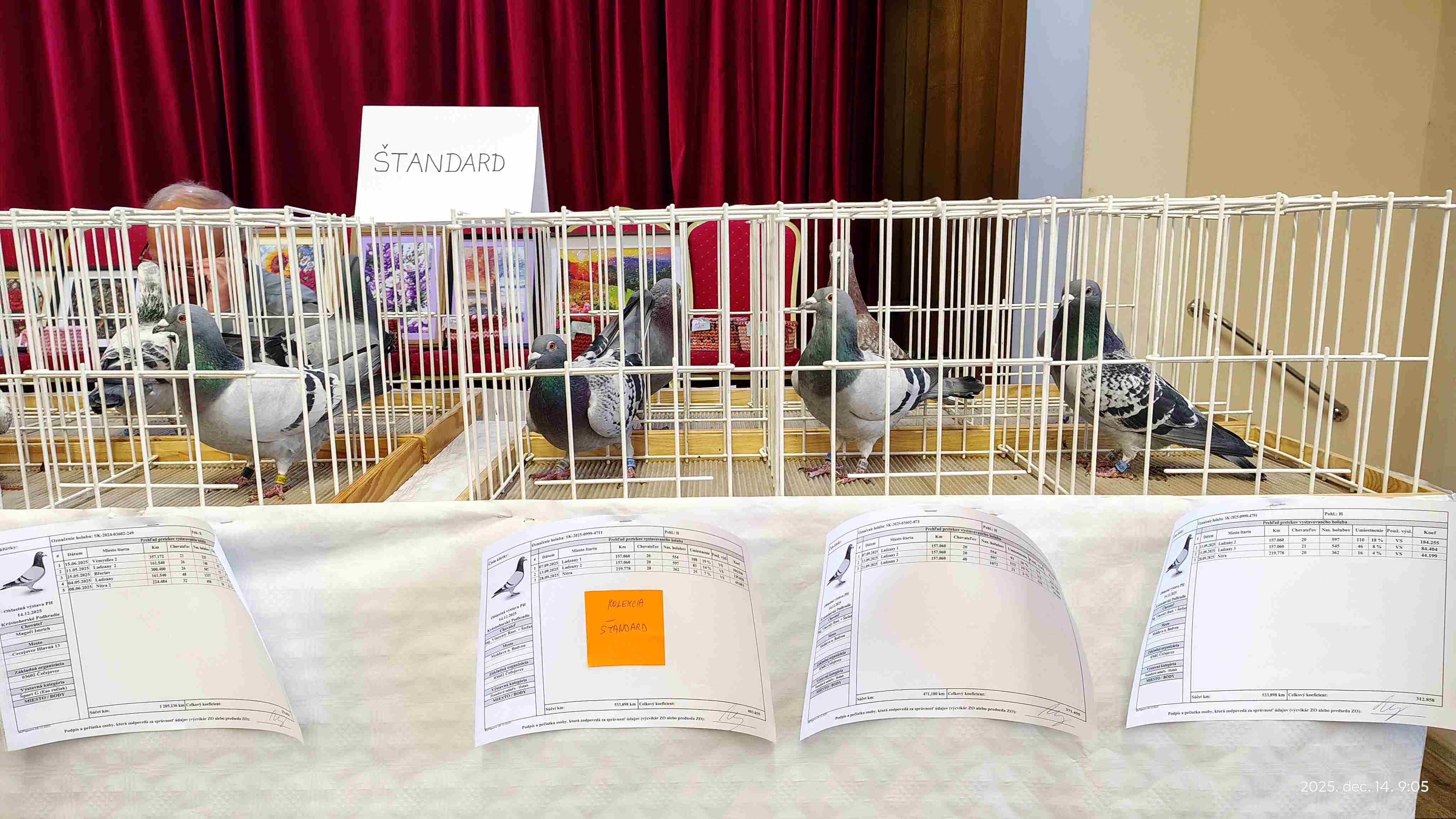 IMG_20251214_090519062_HDR